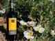 Borges Quinta da Soalheira Douro Tinto 2018 com 90 pontos da Wine Enthusiast borges quinta da soalheira