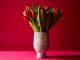 Flores para o Dia dos Namorados: Bloom lança coleção inspirada nos amores à distância flores para o dia dos namorados