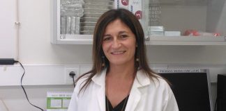 Osteossarcoma: cientistas lusos desenvolvem ferramenta inovadora contra um dos cancros pediátricos mais comuns osteossarcoma