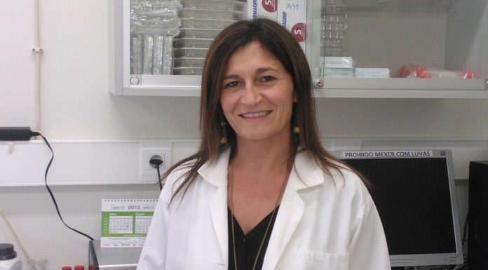Osteossarcoma: cientistas lusos desenvolvem ferramenta inovadora contra um dos cancros pediátricos mais comuns osteossarcoma