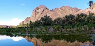 Turismo de experiências: uma aposta na autenticidade turismo de experiências
