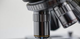 SPEDM distingue investigadores do I3S, pelos seus trabalhos nas áreas da tireoide e da hipófise SPEDM - Sociedade Portuguesa de Endocrinologia, Diabetes e Metabolismo