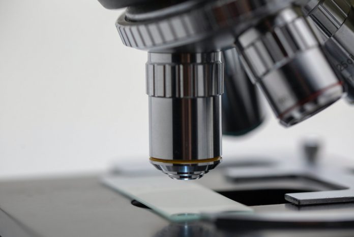 SPEDM - Sociedade Portuguesa de Endocrinologia, Diabetes e Metabolismo SPEDM - Sociedade Portuguesa de Endocrinologia, Diabetes e Metabolismo
