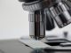 SPEDM distingue investigadores do I3S, pelos seus trabalhos nas áreas da tireoide e da hipófise SPEDM - Sociedade Portuguesa de Endocrinologia, Diabetes e Metabolismo