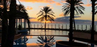Hospitality & Service Management: Nova SBE abre candidaturas para especialização Hospitality & Service Management