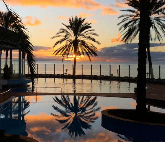 Hospitality & Service Management: Nova SBE abre candidaturas para especialização Hospitality & Service Management