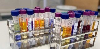 Indústria têxtil e do vestuário: cientistas de Coimbra desenvolvem tecnologia inovadora que pode reduzir a poluição industria textil e do vestuario