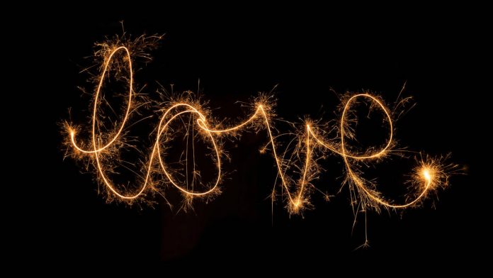 love festival love festival