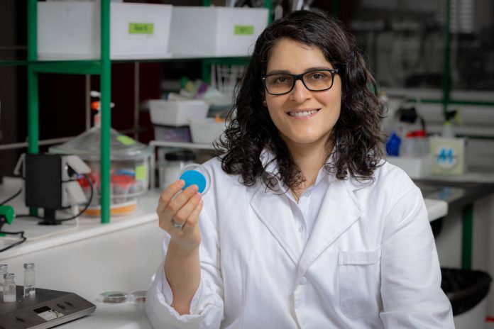 mulheres na ciência mulheres na ciência