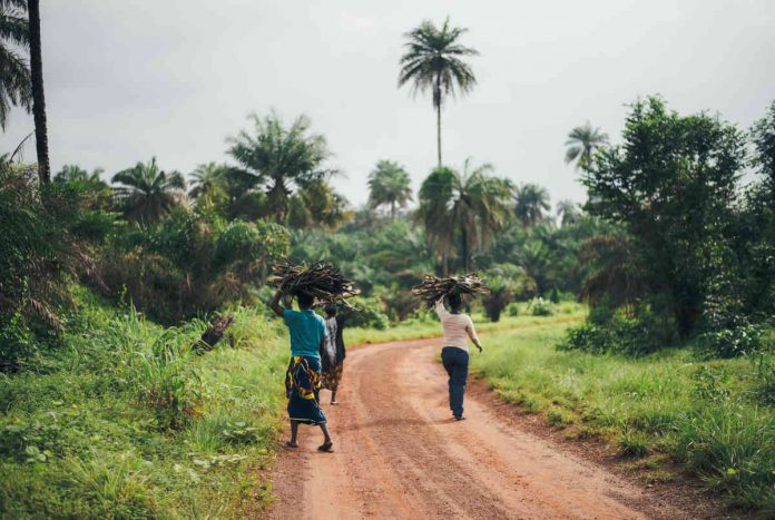 saúde feminina e infantil saúde feminina e infantil
