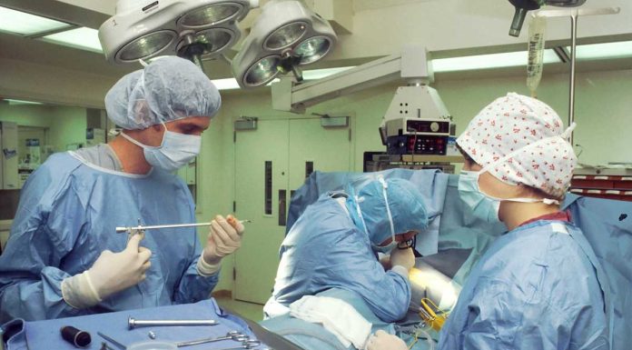 Síndrome de Cushing e cancro da tireoide: investigação do i3S premiada pela SPEDM sindrome de cushing