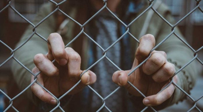 Depressão na pandemia: jovens e famílias com filhos são os mais afetados em Portugal depressao na pandemia