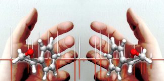 Interação molecular: estudo ajuda a perceber mecanismos chave no nosso organismo interacao molecular