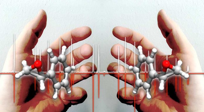Interação molecular: estudo ajuda a perceber mecanismos chave no nosso organismo interacao molecular
