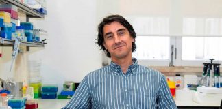 Mesotelioma maligno: nanopartícula de nova geração é “medicamento órfão” mesotelioma maligno