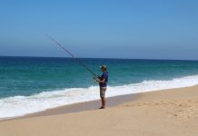 Pesca lúdica: autarcas do litoral alentejano apelam à reabertura pesca lúdica