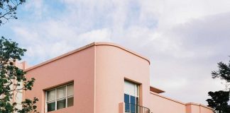 Serralves OnLine Experience celebra um ano serralves online