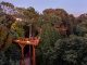 Treetop Walk de Serralves renova parceria com Ascendi treetop walk serralves