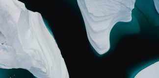 Crise climática: Cisco Foundation doa 100 milhões para o combate crise climática