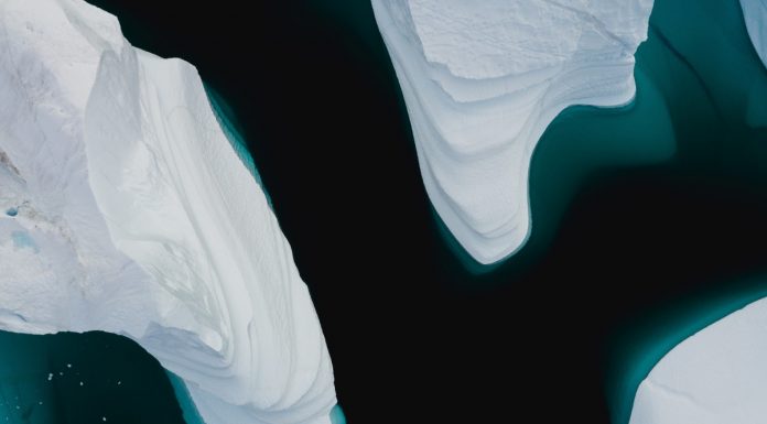 Crise climática: Cisco Foundation doa 100 milhões para o combate crise climática
