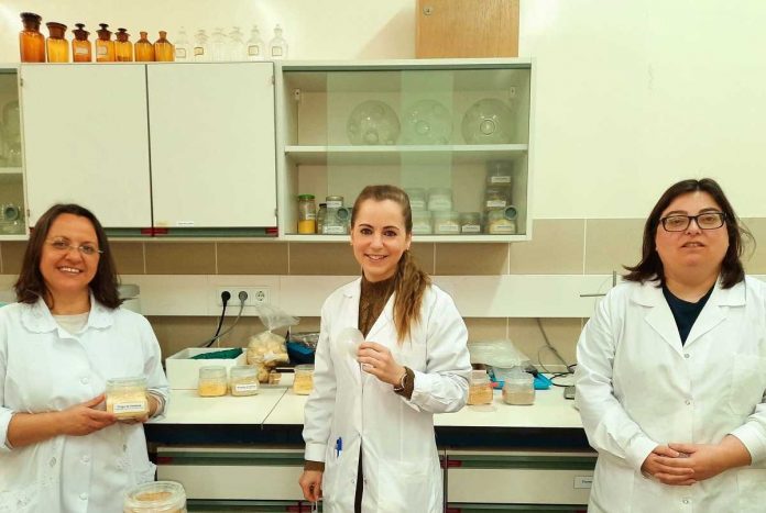 embalagens comestiveis cientistas embalagens comestiveis-cientistas