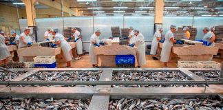 Conserveira Pinhais abre Museu-vivo conserveira pinhais
