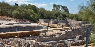 Garum volta a ser produzido em Troia 15 séculos depois garum em troia