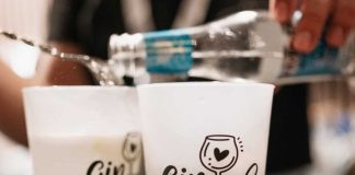 Gin português ruma a uma das suas principais montras: o GinFest Vale do Peso gin portugues
