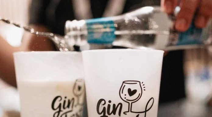 Gin português ruma a uma das suas principais montras: o GinFest Vale do Peso gin portugues