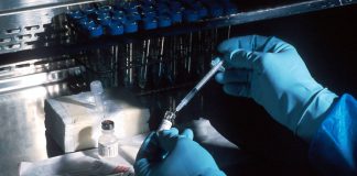 Especialista da UC integra Mecanismo Extraordinário de Identificação Forense de desaparecidos no México identificação forense