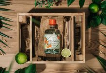 Lemos Figueiredo lança novo gin Casanova de “fruta feia” em parceria com a Too Good To Go lemos figueiredo gin