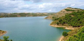 Passeios de barco no Rio Guadiana para minorar isolamento passeios de barco no rio guadiana
