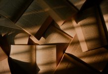 Prémio literário: Santiago do Cacém distingue conto de Margarida Madruga premio literario
