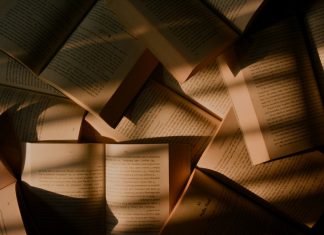 Prémio literário: Santiago do Cacém distingue conto de Margarida Madruga premio literario