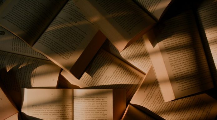Prémio literário: Santiago do Cacém distingue conto de Margarida Madruga premio literario