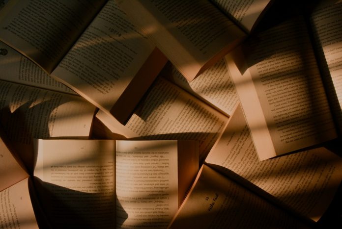 premio literario