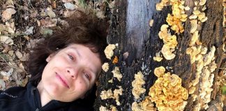 Biodiversidade no mundo: cientistas defendem a inclusão de todos os fungos nas metas globais biodiversidade no mundo