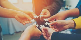 Capital humano: uma aposta vital na sustentabilidade dos negócios capital humano