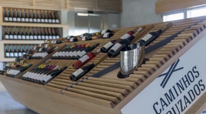 Harmonização de vinhos com pizza em “workshop” da Caminhos Cruzados harmonizacao de vinhos com pizza