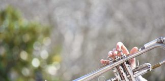 Município de Gavião recebe concerto de jazz municipio de gaviao