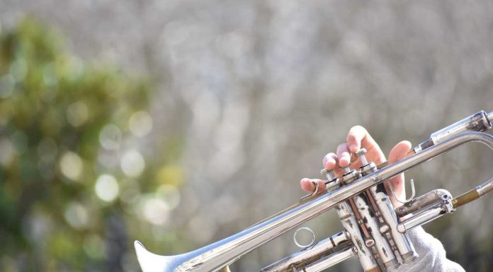 Município de Gavião recebe concerto de jazz municipio de gaviao