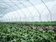 Pequenos investimentos na exploração agrícola: concurso de apoios volta a abrir no Algarve pequenos investimentos na exploracao agricola