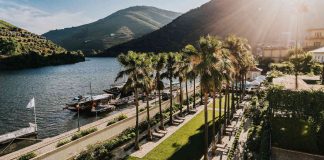 Yoga e alimentação saudável, enquanto se respira o ar puro do Douro: um programa “Winefulness” yoga e alimentação saudável