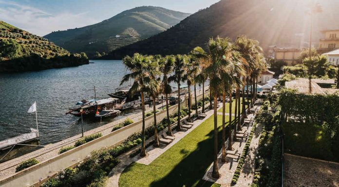 Yoga e alimentação saudável, enquanto se respira o ar puro do Douro: um programa “Winefulness” yoga e alimentação saudável