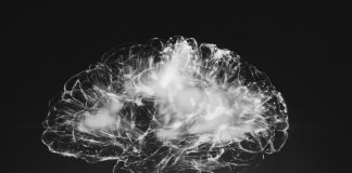 Hormonas podem aliviar as dificuldades de movimento após uma lesão cerebral lesão cerebral