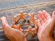 Liderança inclusiva: 6 características-chave liderança inclusiva