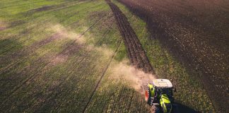 Radiant Project: coordenado pela católica, incentiva agrobiodiversidade e combate a monocultura radiant project
