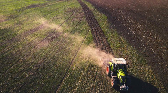 Radiant Project: coordenado pela católica, incentiva agrobiodiversidade e combate a monocultura radiant project