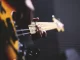Jazz nas Adegas leva Amar Guitarra à Quinta dos Vales jazz nas adegas
