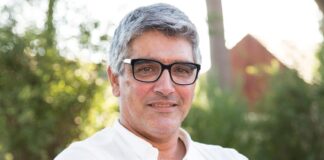 Desenvolvimento cerebral: estudo publicado na Science desvenda mecanismo crítico desenvolvimento cerebral